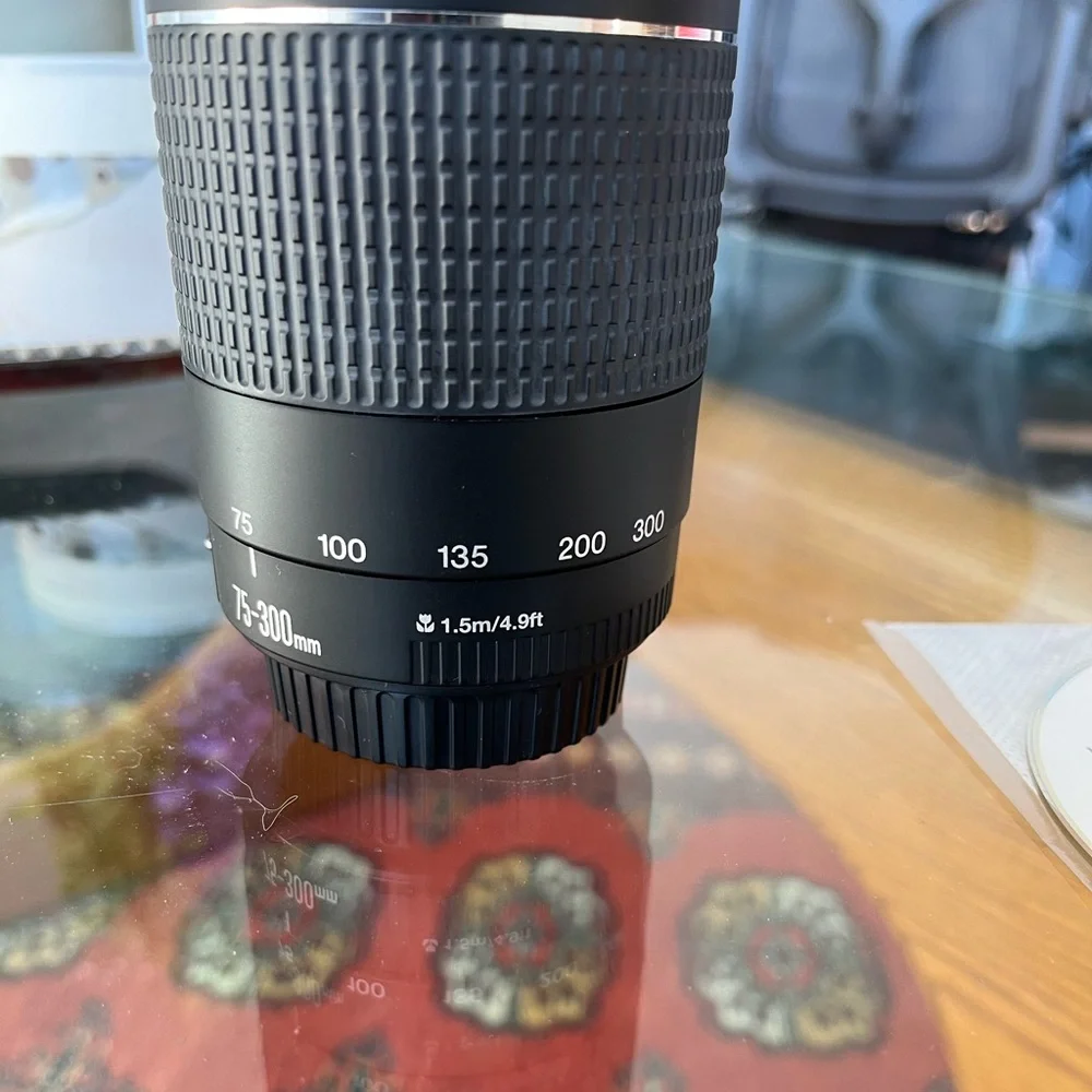 Canon EF 75-300mm f/4-5.6 iii